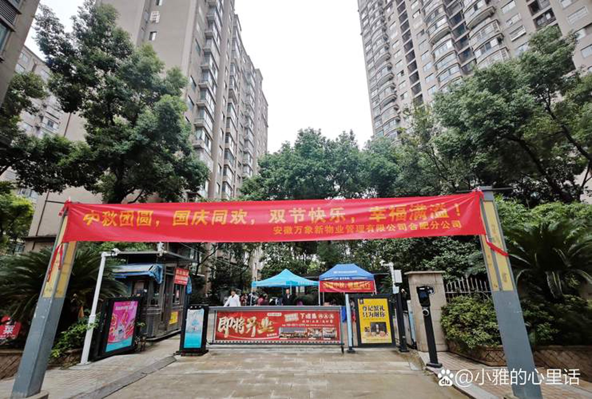 彩聚圆网络科技